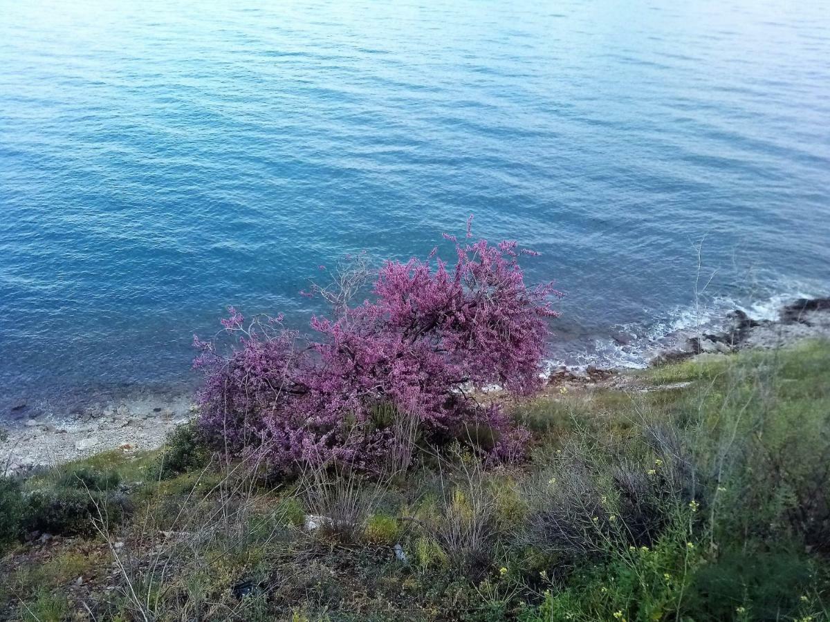 Kiveri Gems Houses Εξωτερικό φωτογραφία